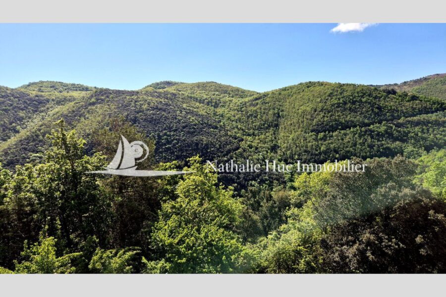 Maison à vendre à Maureillas-las-illas