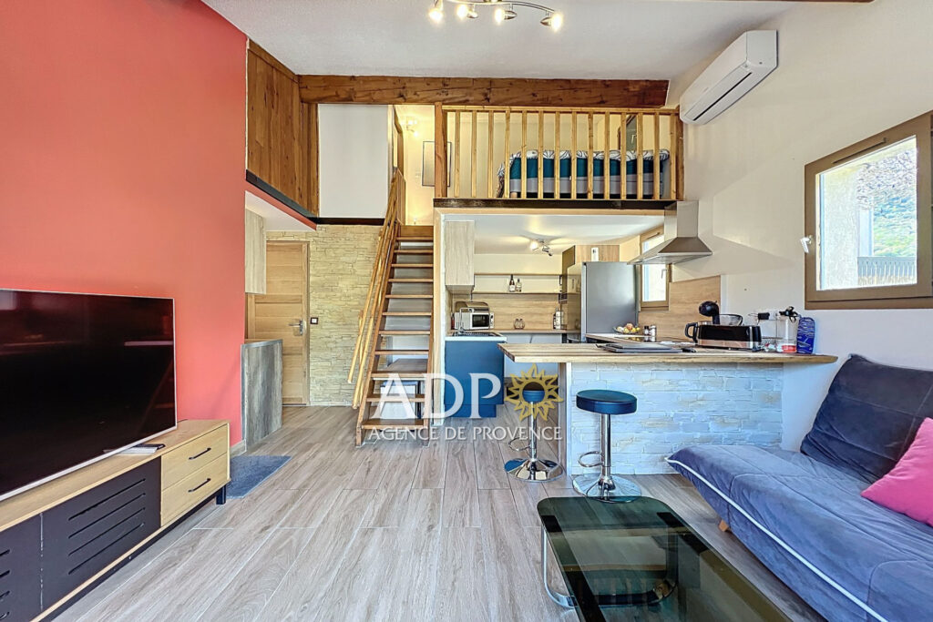 vente duplex 1 Pièce(s) – 1 pièce – 1 chambre – 30.00 m²