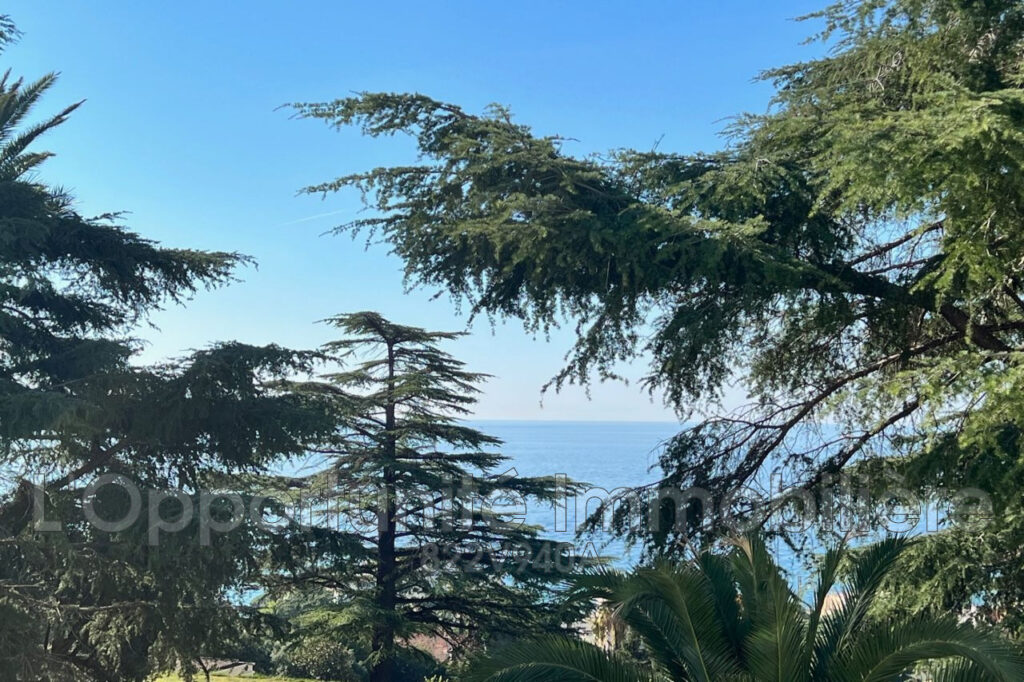 vente Idéal investisseur 1 Pièce(s) – 1 pièce – NR chambres – 38.68 m²