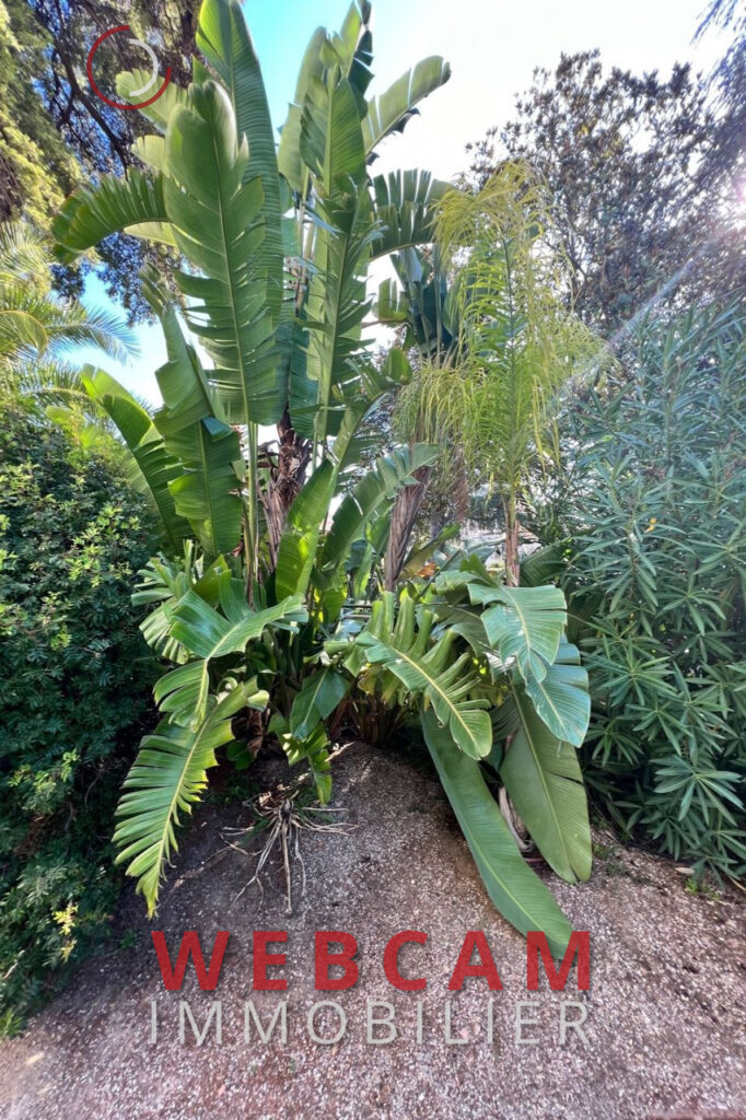 vente Idéal investisseur 1 Pièce(s) – 1 pièce – NR chambres – 38.68 m²