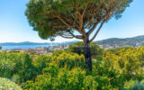 Maison à vendre à Sainte-maxime