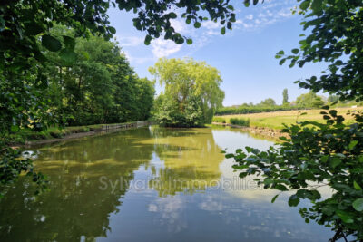 vente maison 6 Pièce(s) – 6 pièces – 4 chambres – 216.00 m²