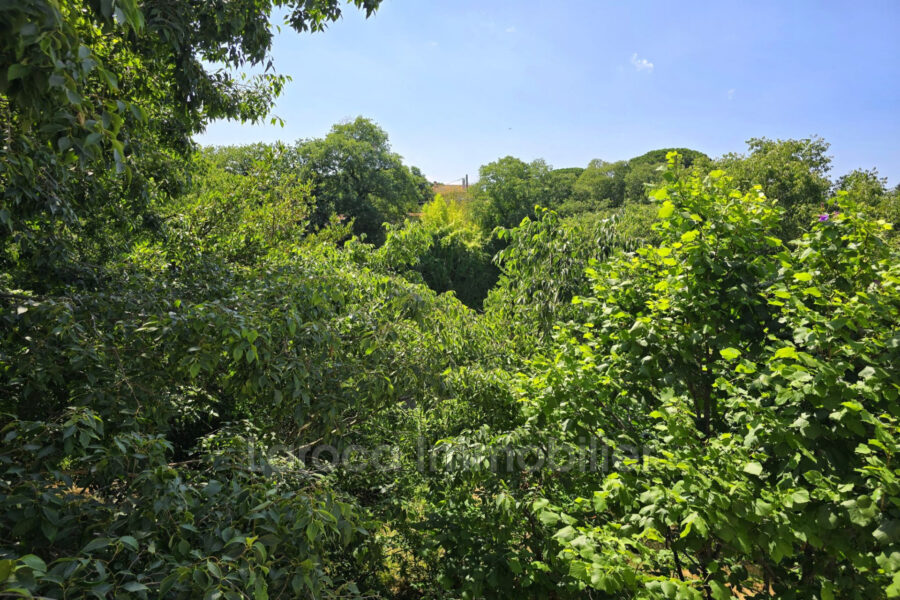 Maison à vendre à Sorède — Vue montagne — photo 10