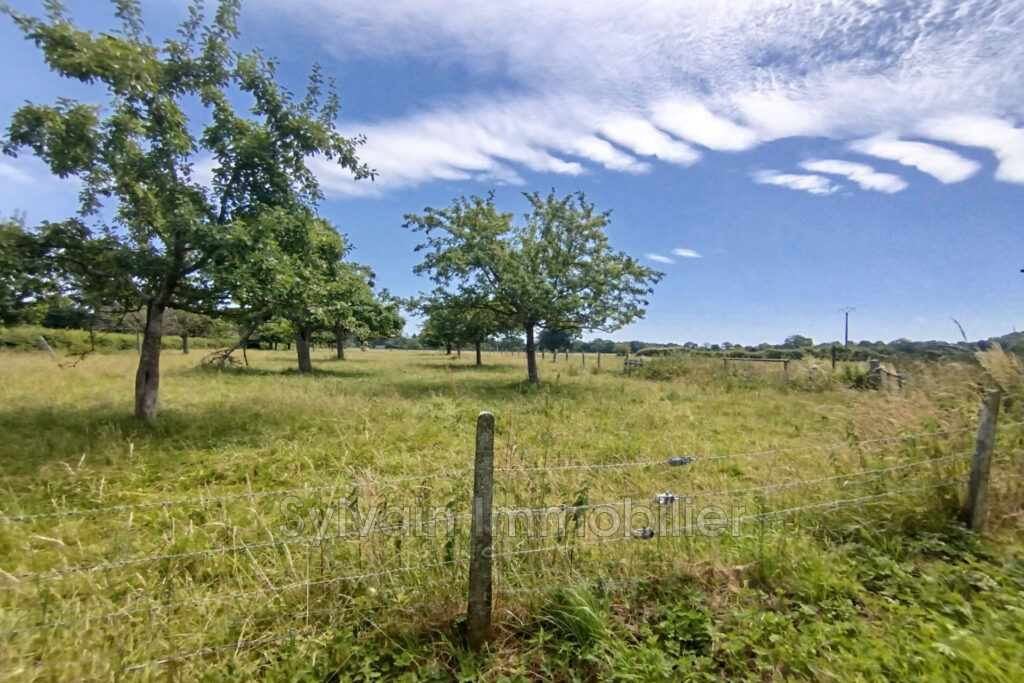 vente maison 3 Pièce(s) – 3 pièces – 1 chambre – 58.00 m²