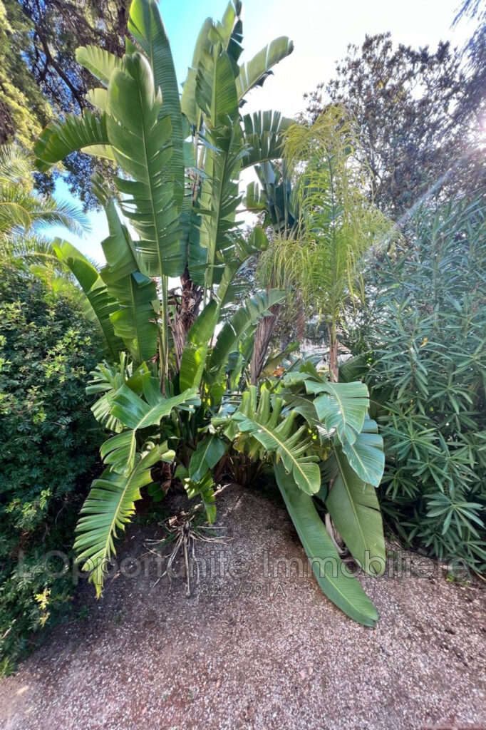 vente Idéal investisseur 1 Pièce(s) – 1 pièce – NR chambres – 38.68 m²