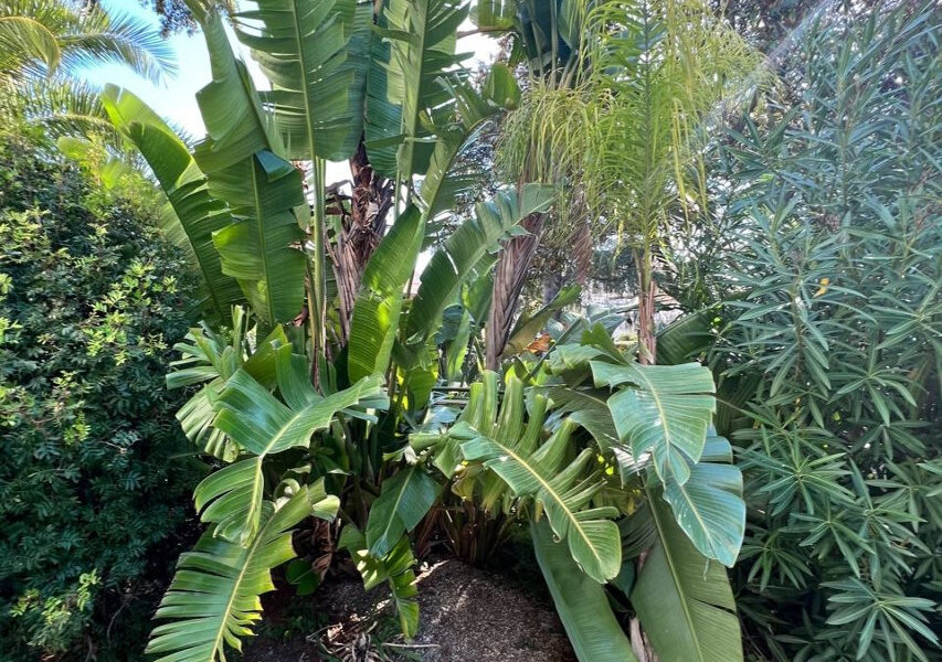 Appartement à vendre à Cannes