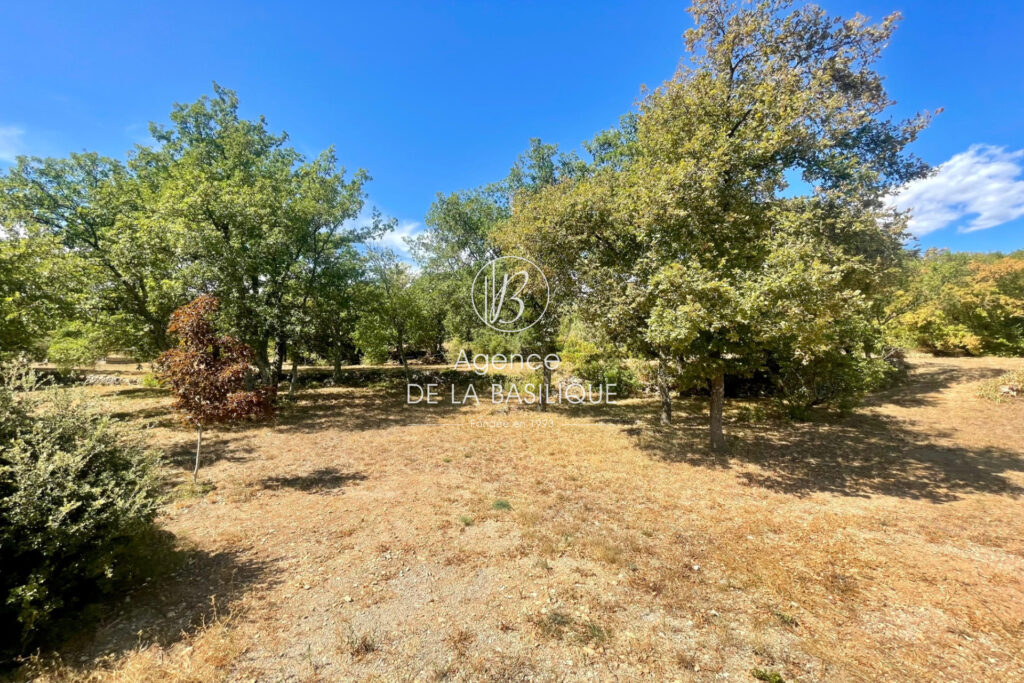 vente maison 6 Pièce(s) – 6 pièces – 5 chambres – 170.00 m²