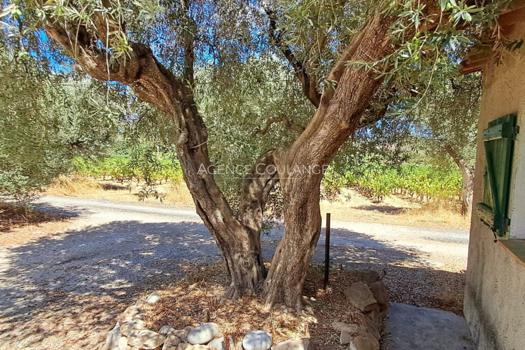 vente appartement de caractère 3 Pièce(s) – 3 pièces – 2 chambres