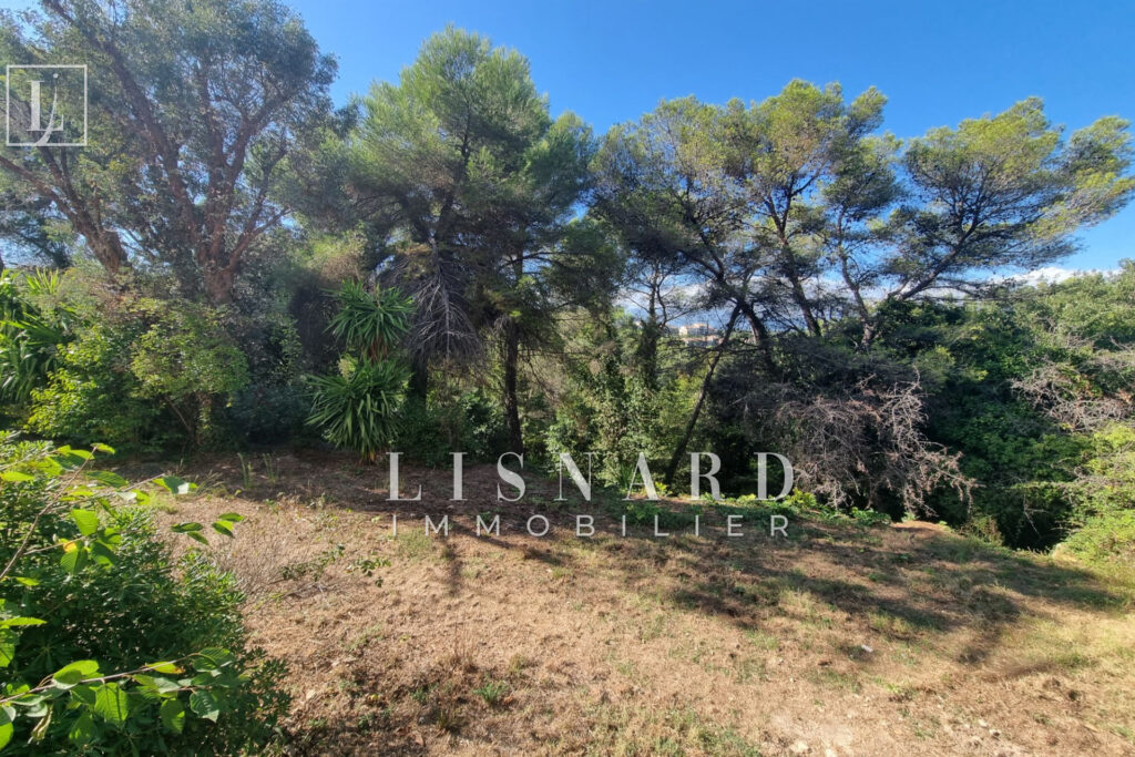 vente appartement 2 Pièce(s) – 2 pièces – 1 chambre – 50.00 m²