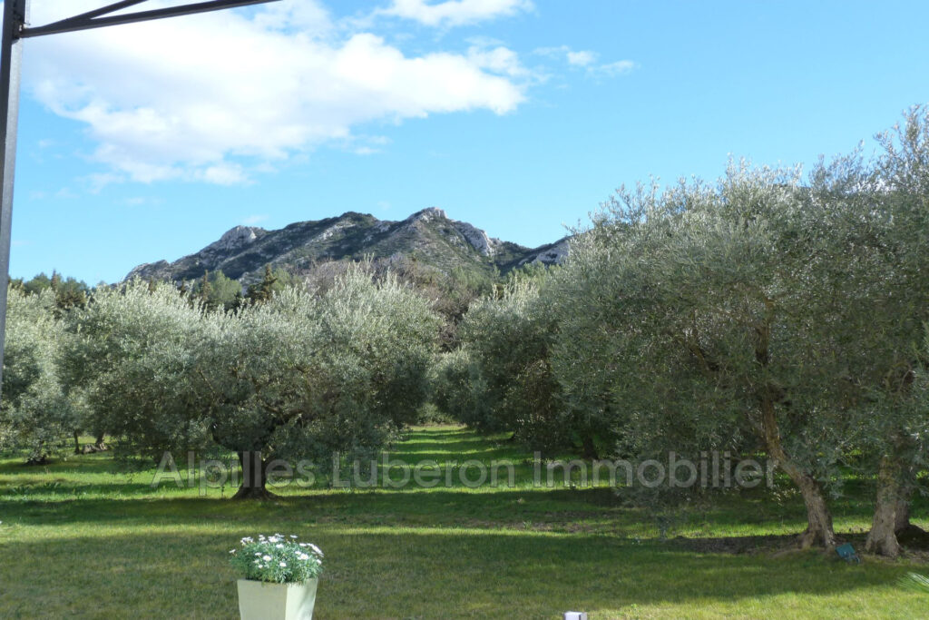 vente demeure de prestige 8 Pièce(s) – 8 pièces – 5 chambres – 275.00 m²