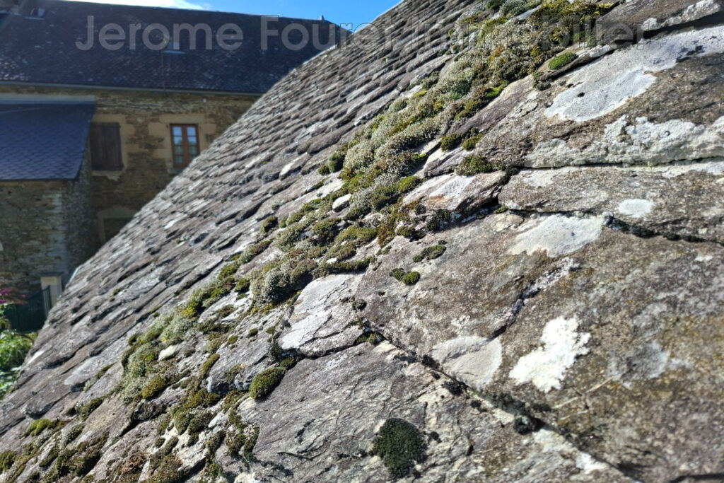 Fournil. – NR pièces – NR chambres – 20.00 m²