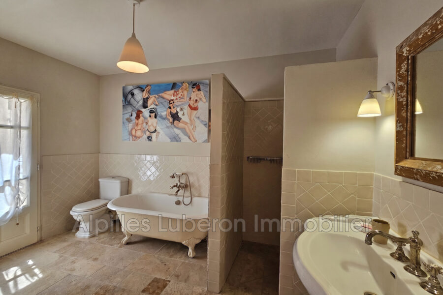 Maison à vendre à Eygalières — Vue parc — photo 18