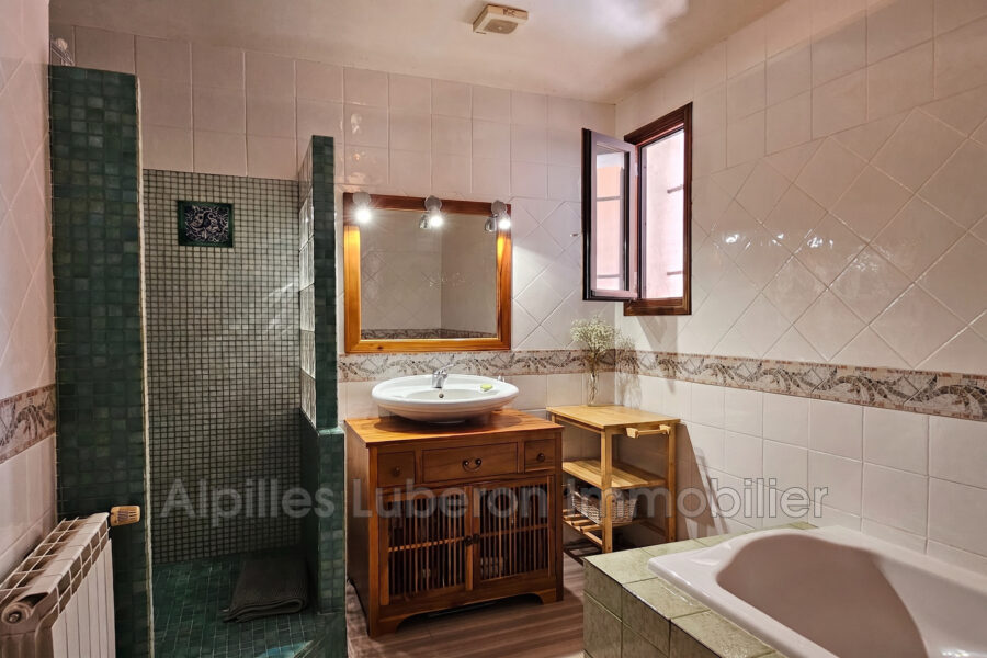 Maison à vendre à Aureille — Vue parc — photo 18