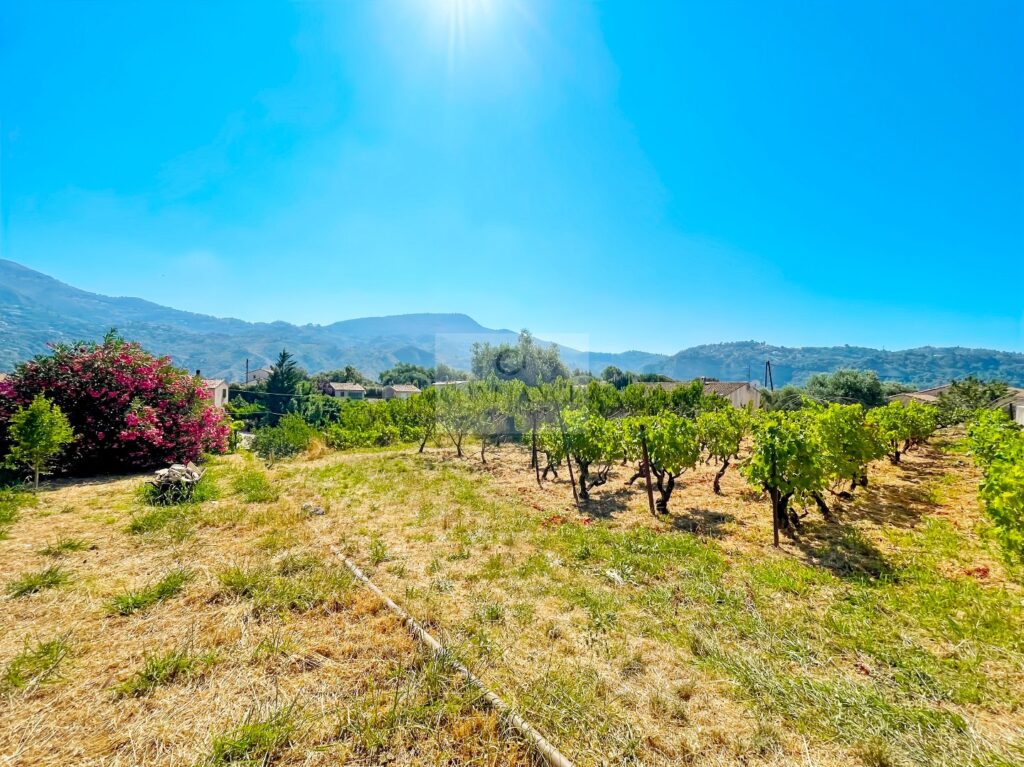 Terrain constructible – NR pièces – NR chambres