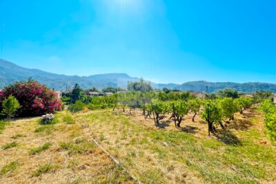 Terrain constructible – NR pièces – NR chambres