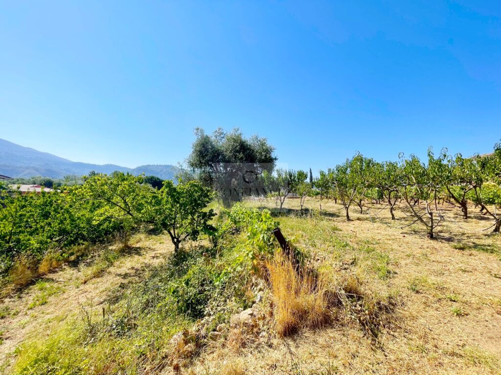 Terrain constructible – NR pièces – NR chambres