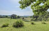 Maison à vendre à Urrugne — Vue nature — photo 1