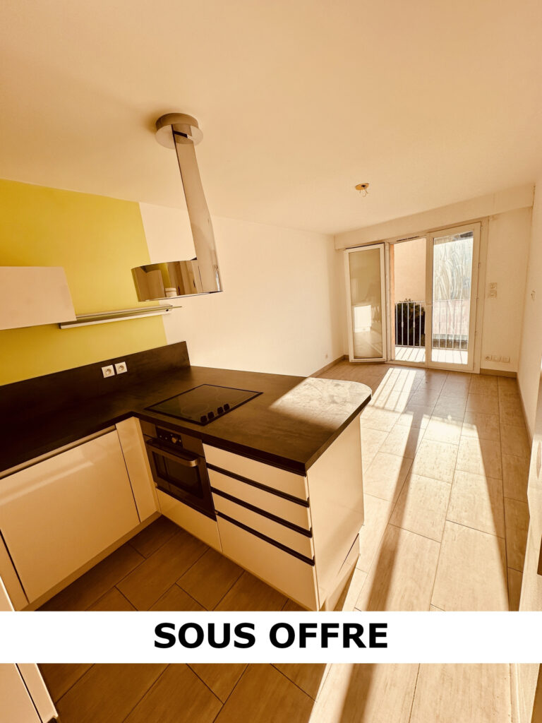 APPARTEMENT T2 TRAVERSANT CENTRE-VILLE CALME 2 TERRASSES – 2 pièces – 1 chambre – 4  – 40 m²