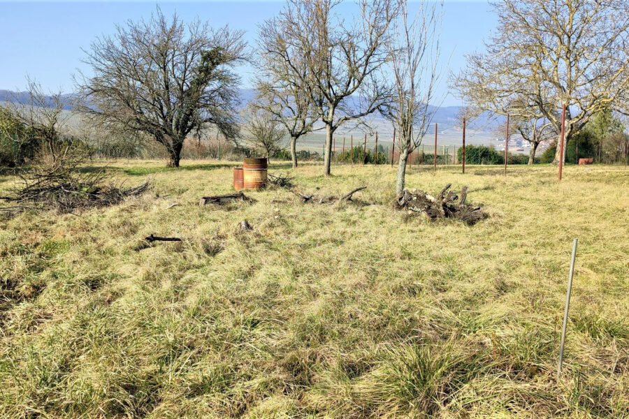 Terrain à vendre à Rouffach — Vue vignes — photo 3