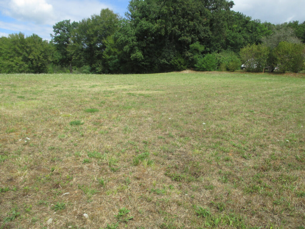 DORDOGNE-LE BUGUE- TERRAIN A BATIR – NR pièces – NR chambres – 6