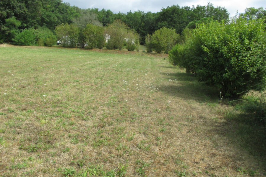 Terrain à vendre à Le bugue
