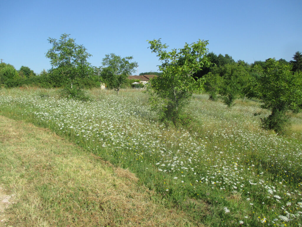 DORDOGNE- COUX ET BIGAROQUE- TERRAIN – NR pièces – NR chambres – 6