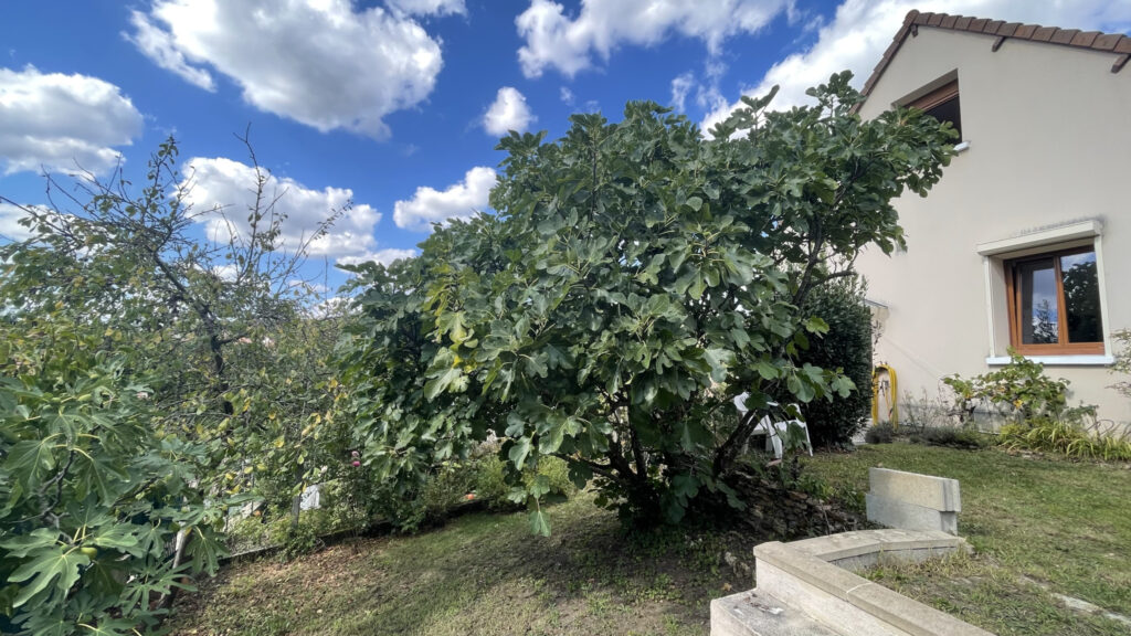 Maison plain-pied – 5 pièces – 4 chambres – NR  – 110 m²