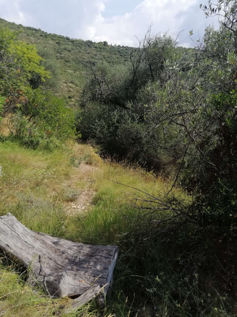 terrain  – NR pièces – NR chambres – NR  – 2935 m²