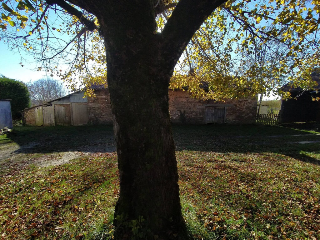  Maison avec dépendances sur les hauteurs de ST CONSTANT – 5 pièces – 3 chambres – 6  – 106 m²