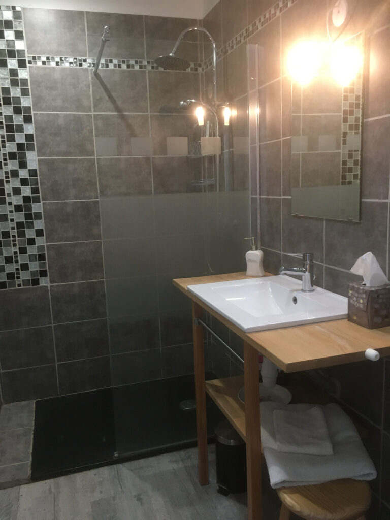 AU COEUR DU MARAIS POITEVIN LONGERE AVEC CHAMBRES D’HÖTES EN – 8 pièces – 5 chambres – 6  – 249 m²