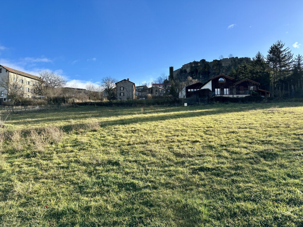 Terrain 1252m2 POLIGNAC – NR pièces – NR chambres – 6  – 1252 m²