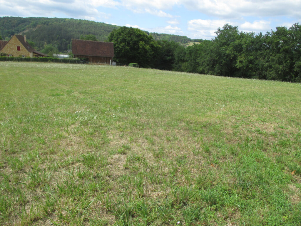 DORDOGNE-LE BUGUE- TERRAIN A BATIR – NR pièces – NR chambres – 6