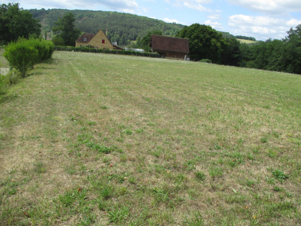 DORDOGNE-LE BUGUE- TERRAIN A BATIR – NR pièces – NR chambres – 6