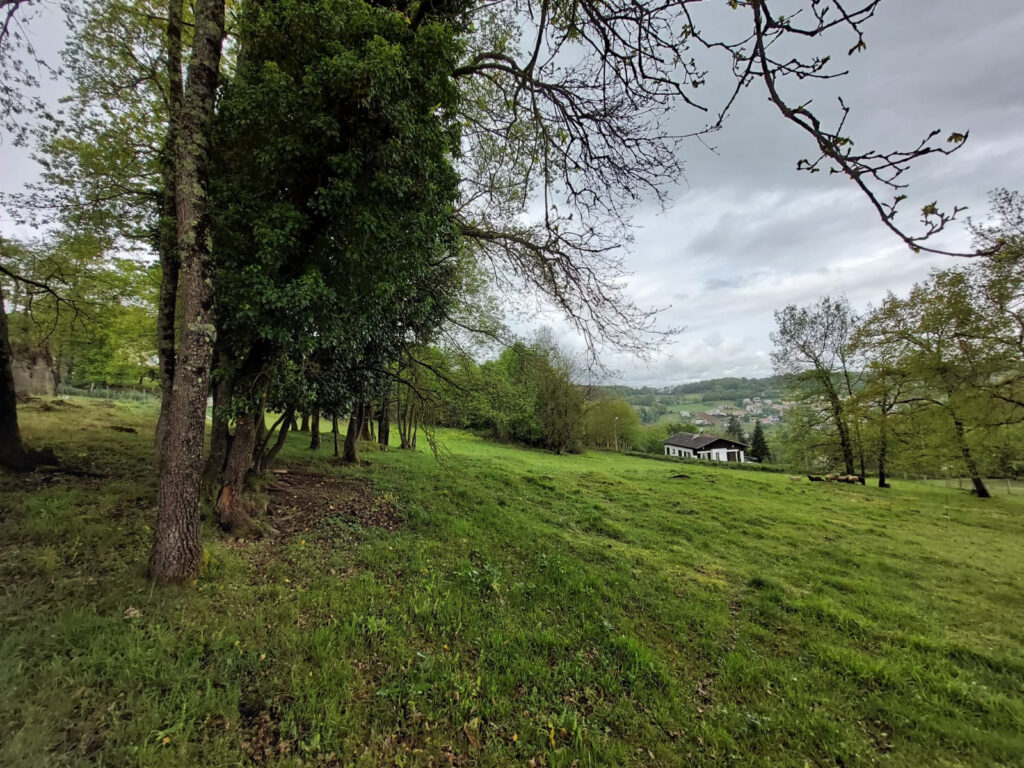  Terrain 6 500 m2 – NR pièces – NR chambres – 6  – 6500 m²