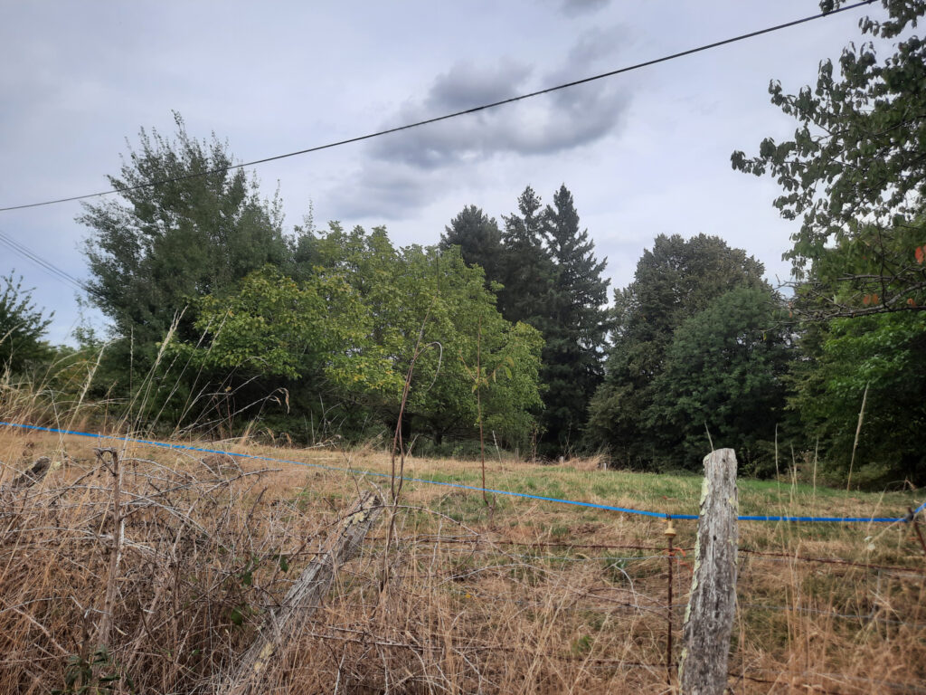 Terrain a Vendre MAURS – NR pièces – NR chambres – 6