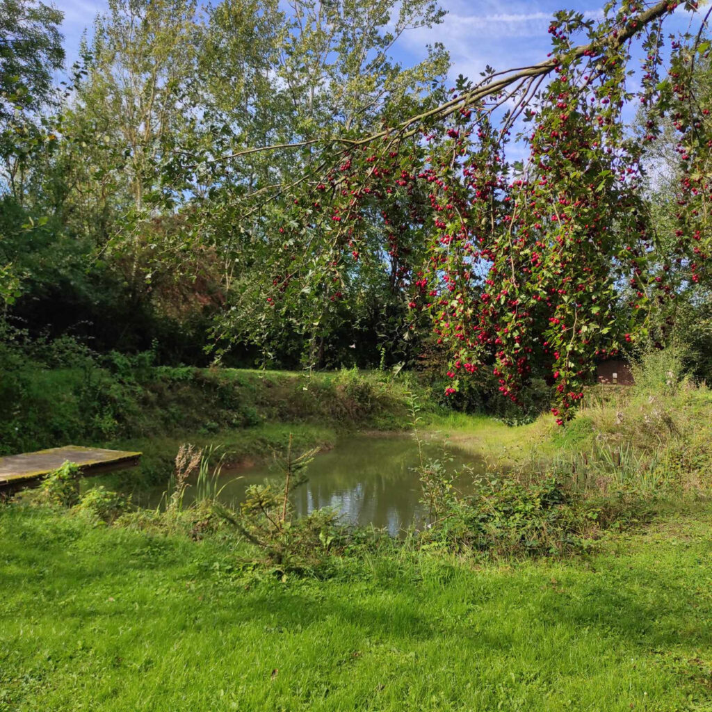 MAISON CAMPAGNARDE ET SON LOCAL COMMERCIAL…INDEPENDANT. – 6 pièces – 4 chambres – 6  – 135 m²