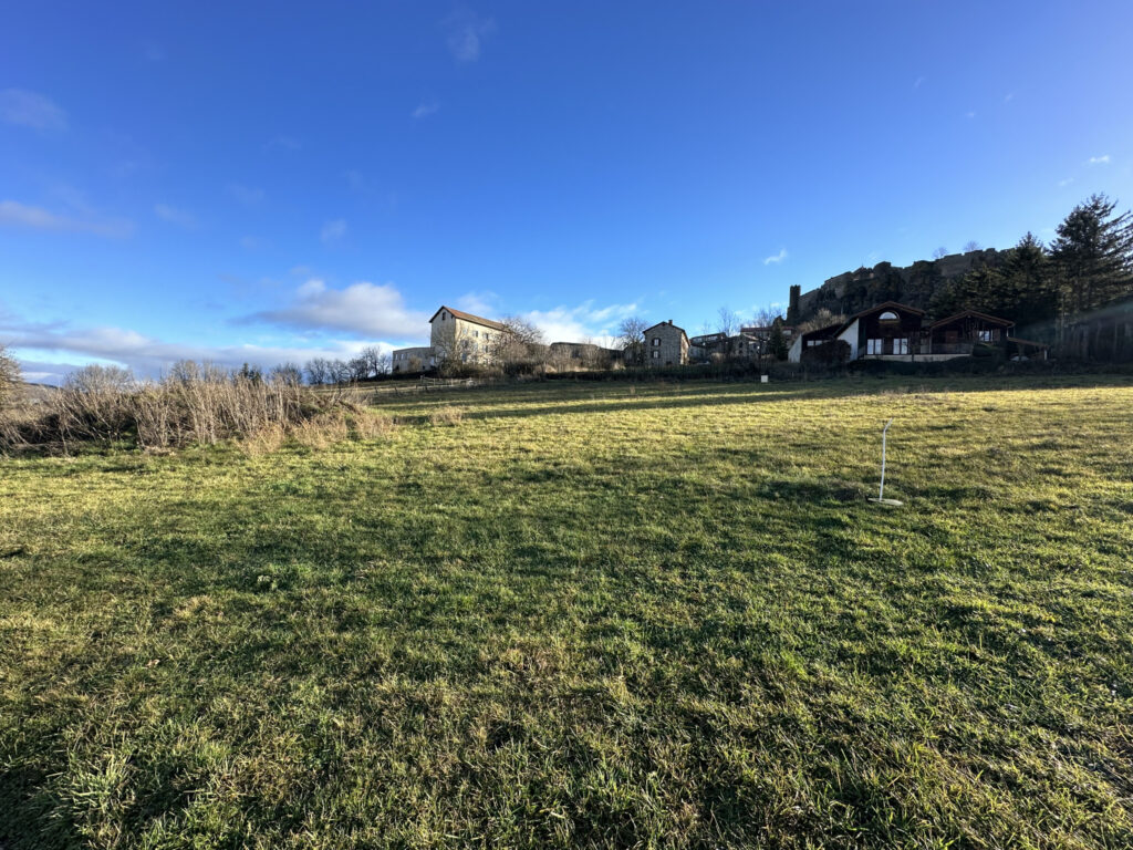 Terrain 1252m2 POLIGNAC – NR pièces – NR chambres – 6  – 1252 m²