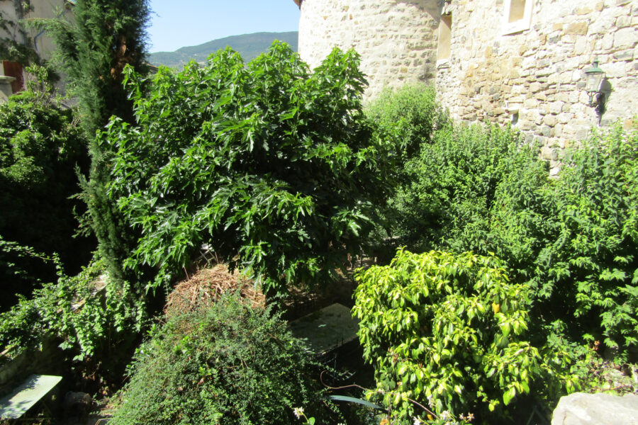 Maison à vendre à Sainte-jalle