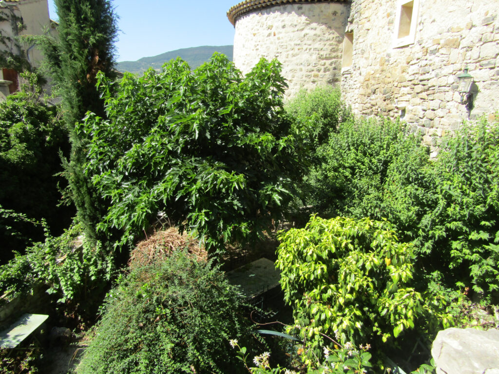 Maison d’hôtes Sainte Jalle 26110 – 12 pièces – 8 chambres – NR  – 330 m²