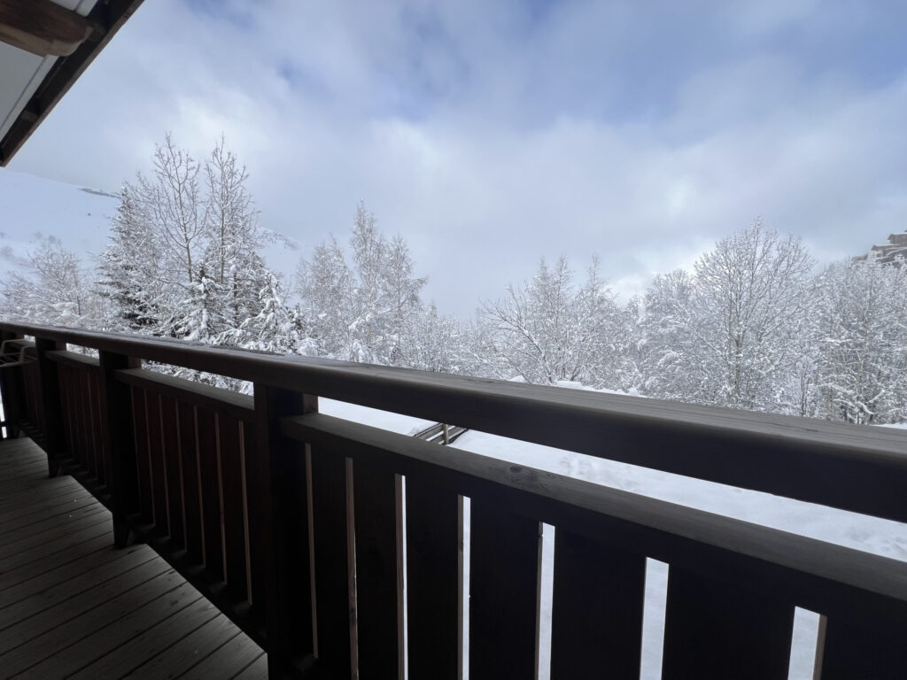 UN BIJOU ALPIN A NE PAS MANQUER ! – 2 pièces – 1 chambre – NR  – 41 m²