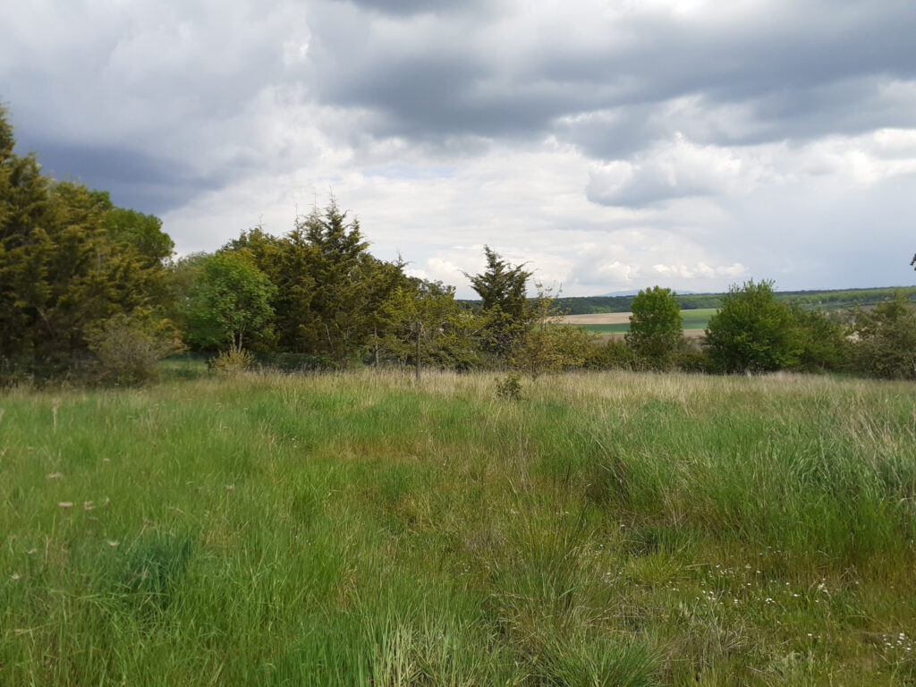 Belle propriété de style  – 5 pièces – 3 chambres – 6  – 153 m²