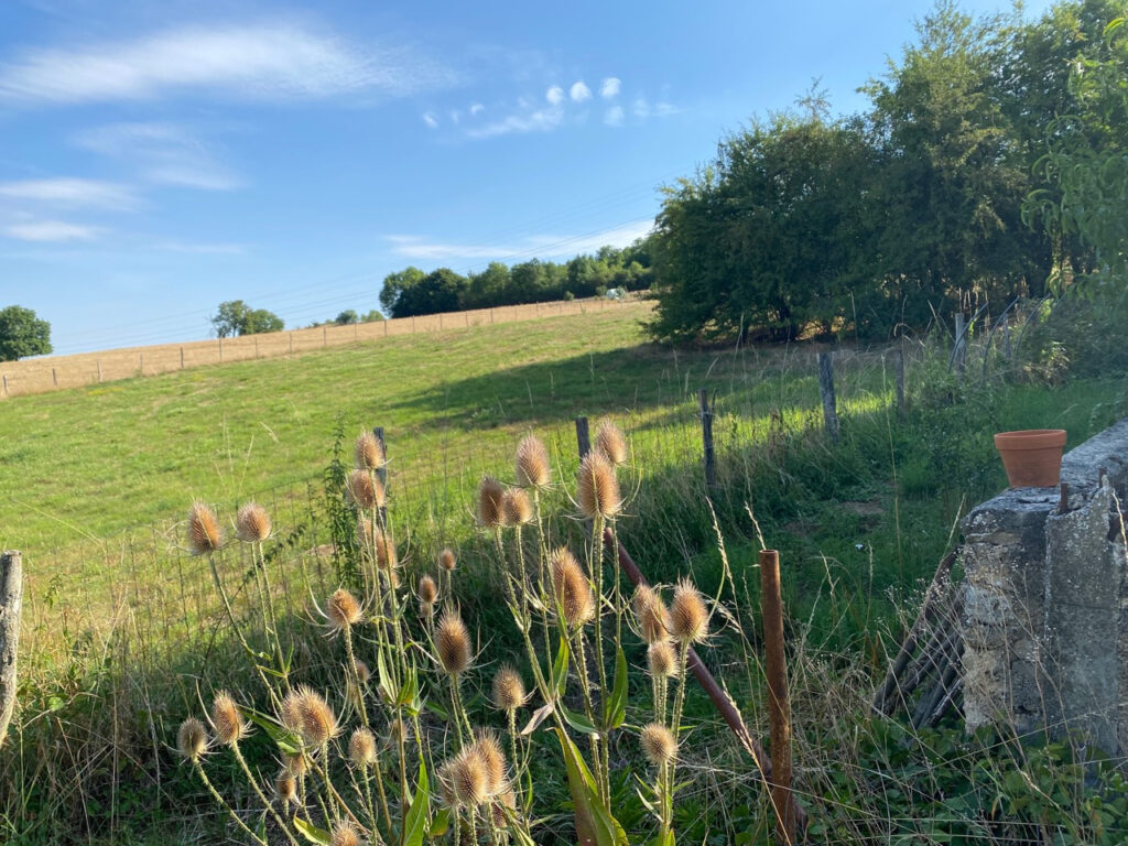 TERRAIN CONSTRUCTIBLE – NR pièces – NR chambres – 2  – 3215 m²