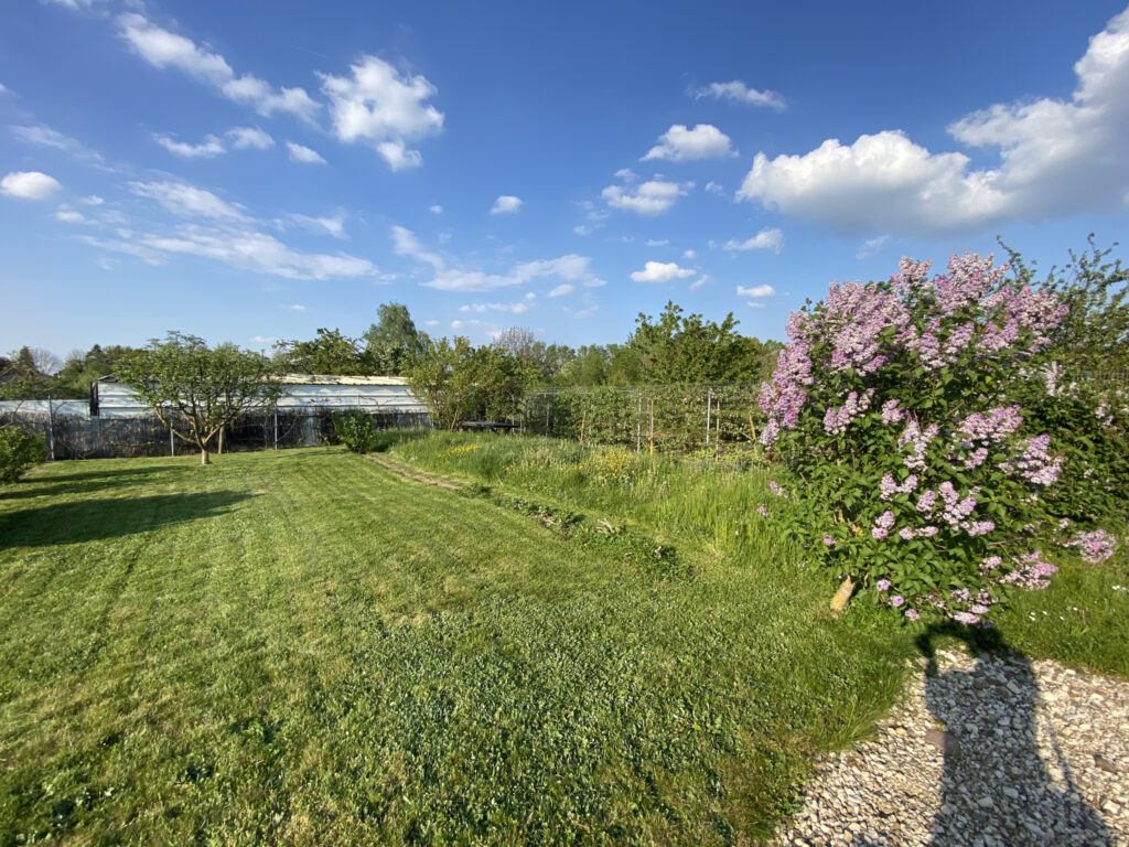 F2 WITTENHEIM – 2 pièces – 1 chambre – NR  – 61 m²