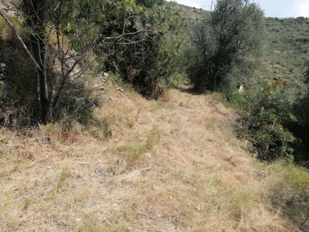 terrain  – NR pièces – NR chambres – NR  – 2935 m²