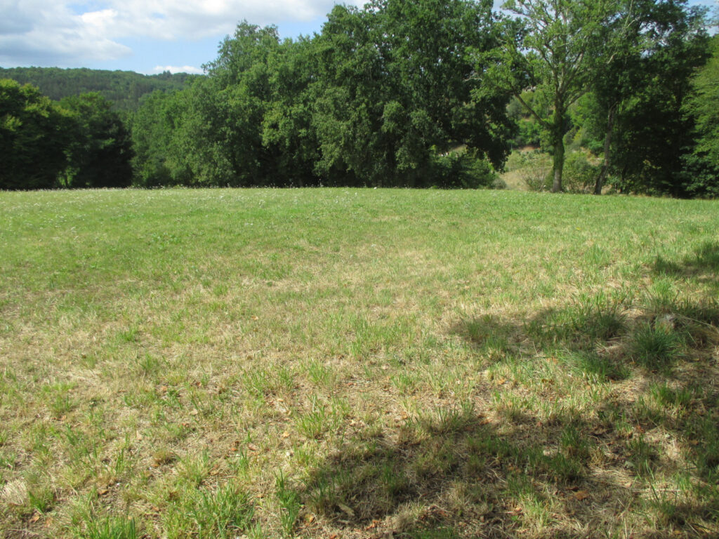 DORDOGNE-LE BUGUE- TERRAIN A BATIR – NR pièces – NR chambres – 6