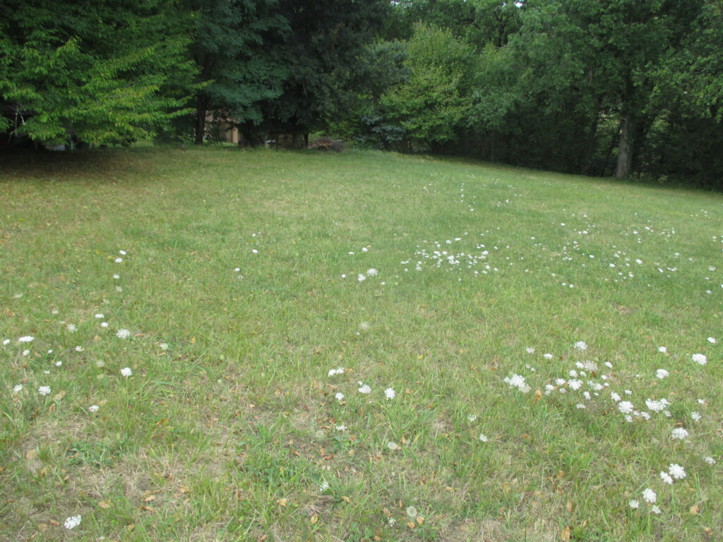 DORDOGNE-LE BUGUE- TERRAIN A BATIR – NR pièces – NR chambres – 6