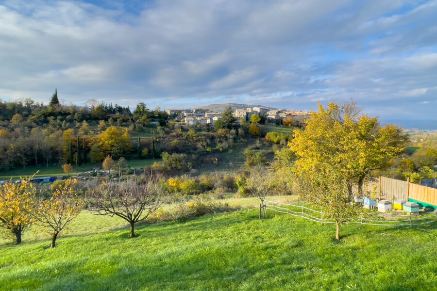 Maison à vendre à Saint-vincent-de-barrès