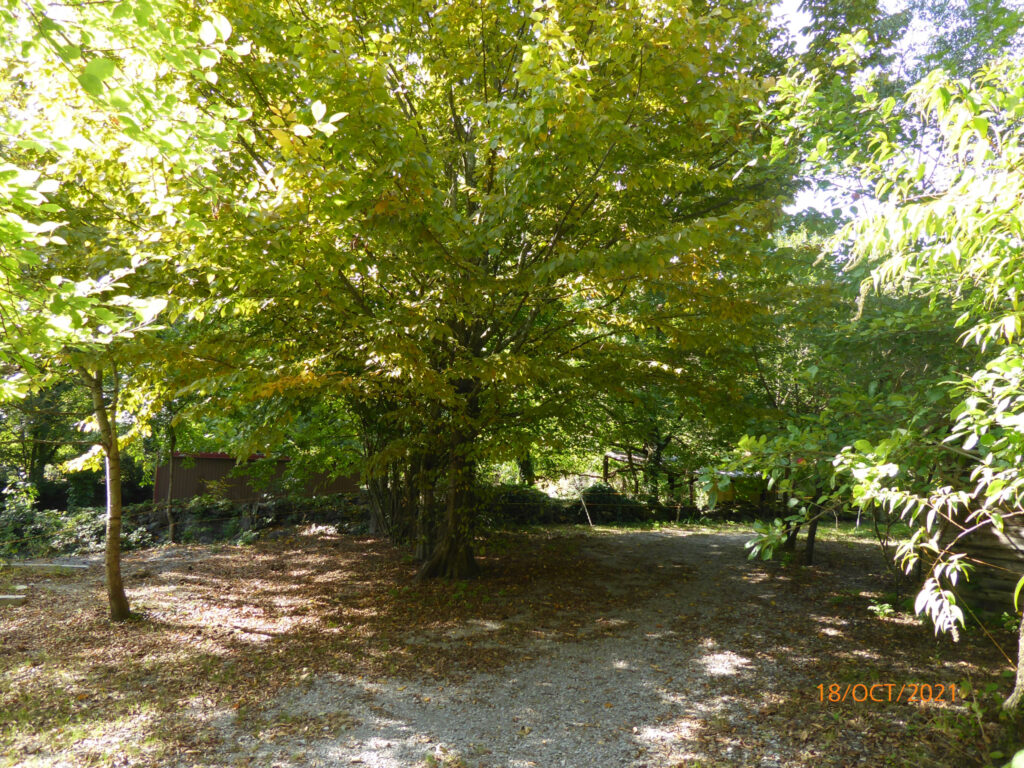 MAS RENOVE DE 14 PIECES ET 3 HABITATIONS A LA CAMPAGNE – 14 pièces – 11 chambres – 6  – 308 m²