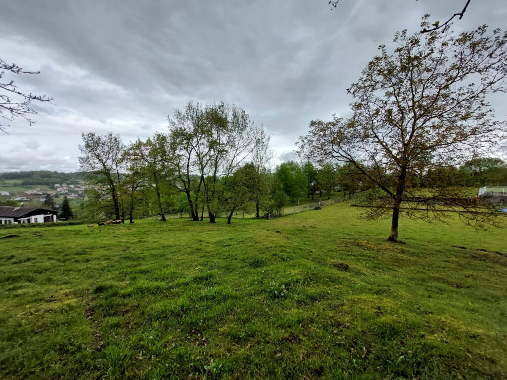  Terrain 6 500 m2 – NR pièces – NR chambres – 6  – 6500 m²