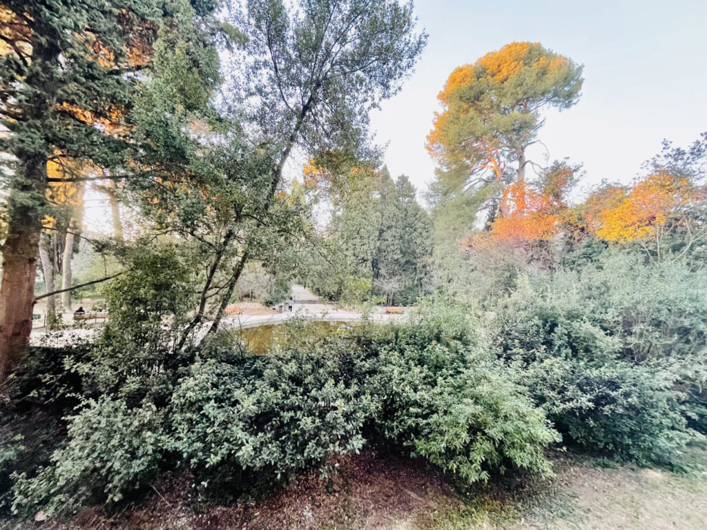  Résidence Sénior : bel appartement T2 loué – 2 pièces – 1 chambre – NR  – 51 m²